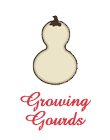 Growing Gourds